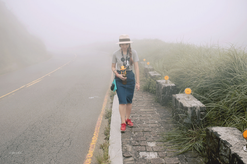 那雲霧裊繞的陽明山小油坑 那雲霧裊繞的陽明山小油坑