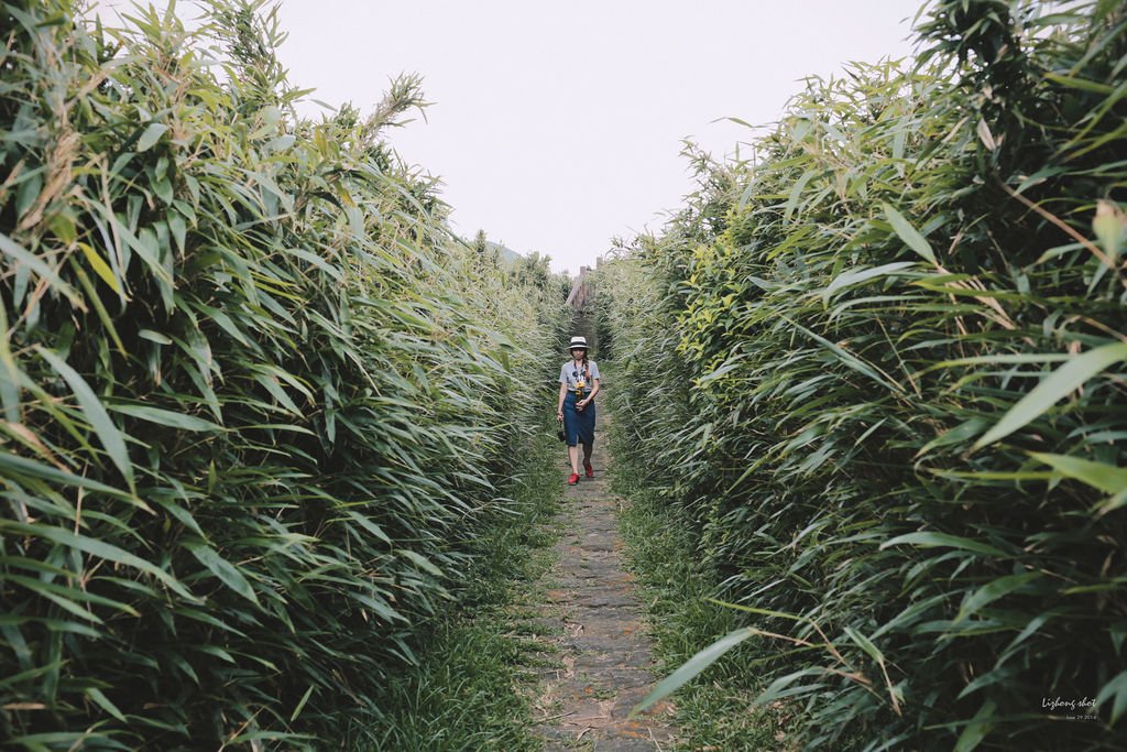 那雲霧裊繞的陽明山小油坑 那雲霧裊繞的陽明山小油坑