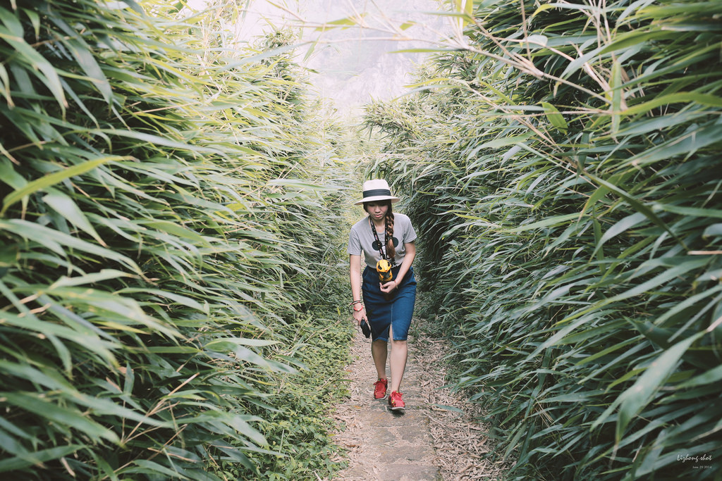 那雲霧裊繞的陽明山小油坑 那雲霧裊繞的陽明山小油坑