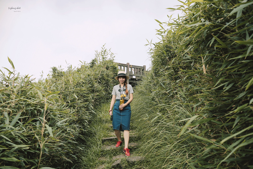 那雲霧裊繞的陽明山小油坑