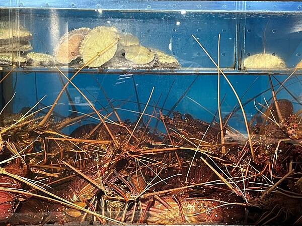 LINE_ALBUM_20230316 _2_230317_2.jpg