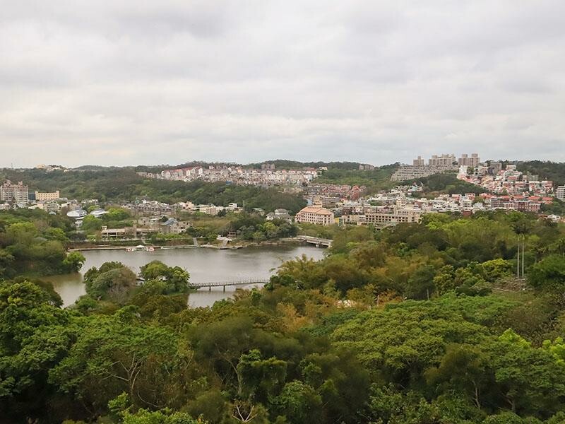 2025新竹母親節餐廳!青草湖101高山頂美食美景全包,荔枝牛奶雞必吃。