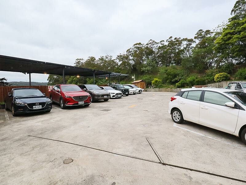 2025新竹母親節餐廳!青草湖101高山頂美食美景全包,荔枝牛奶雞必吃。