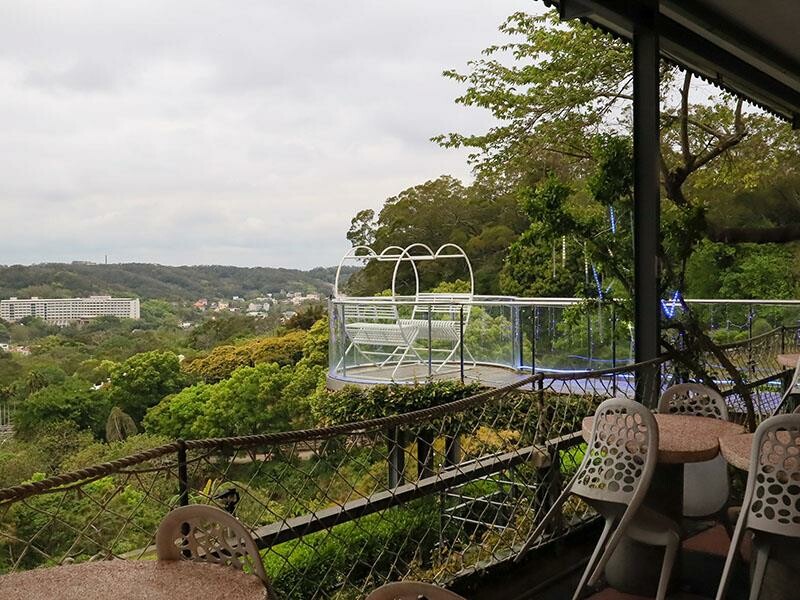 2025新竹母親節餐廳!青草湖101高山頂美食美景全包,荔枝牛奶雞必吃。