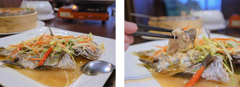 101青草湖創新農莊 | 新竹市區也有101挑高夜景，走山、玩水、看夜景、家聚吃土雞好停車