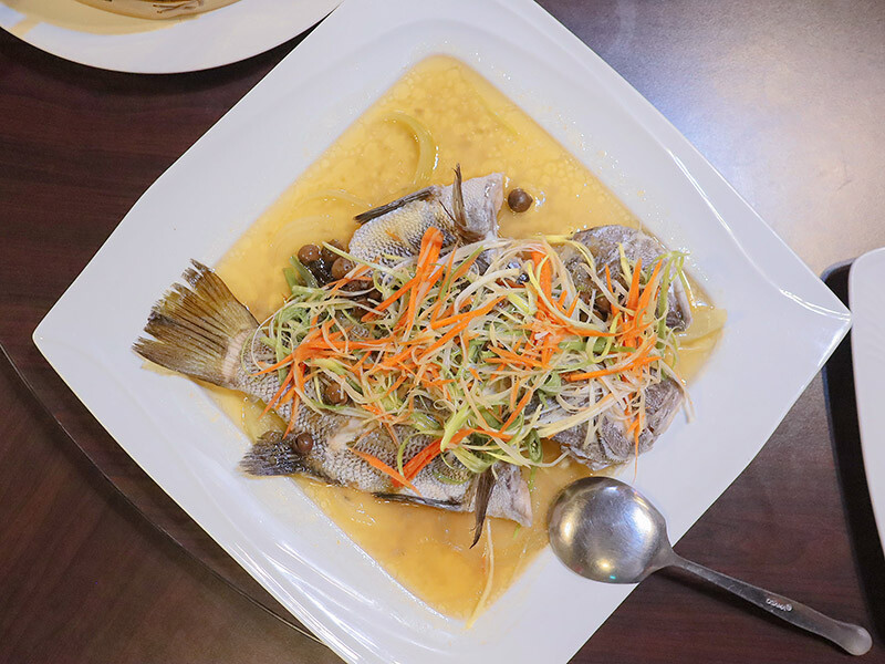 101青草湖創新農莊 | 新竹市區也有101挑高夜景，走山、玩水、看夜景、家聚吃土雞好停車