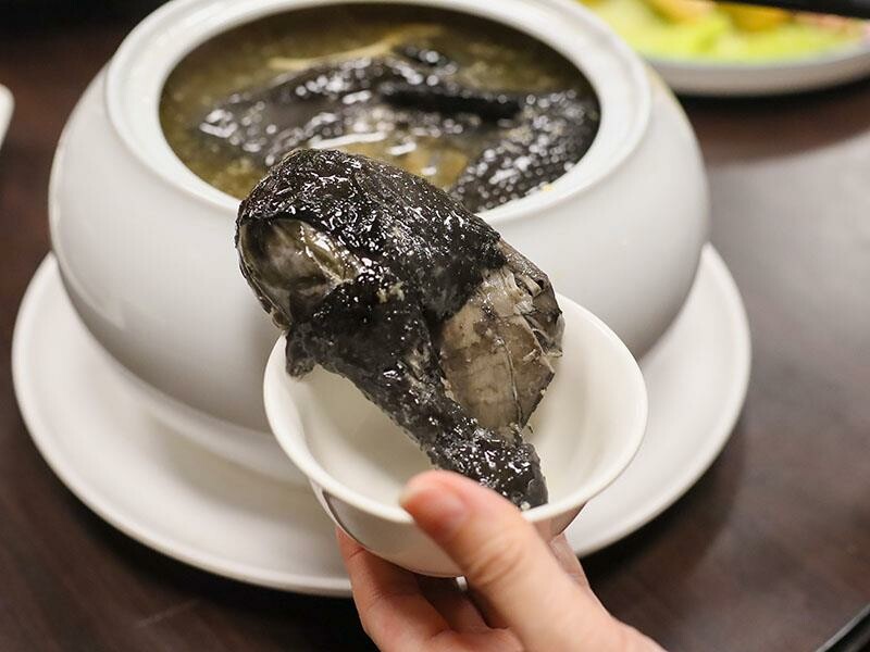 2025新竹母親節餐廳!青草湖101高山頂美食美景全包,荔枝牛奶雞必吃。