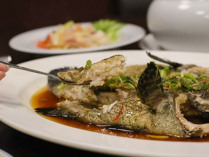 2025新竹母親節餐廳!青草湖101高山頂美食美景全包,荔枝牛奶雞必吃。