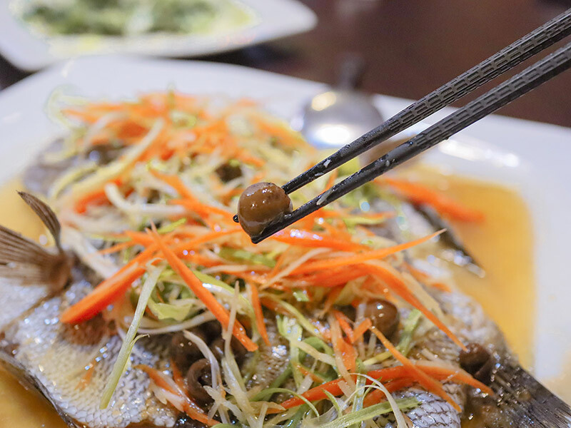 101青草湖創新農莊 | 新竹市區也有101挑高夜景，走山、玩水、看夜景、家聚吃土雞好停車