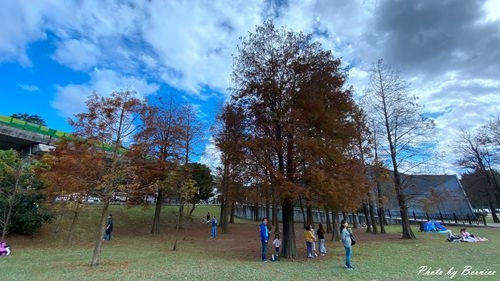 0103 大湖落羽松12.jpg