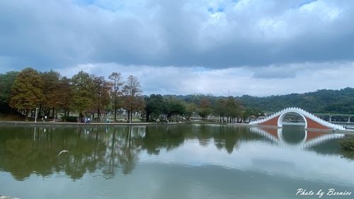 0103 大湖落羽松03.jpg