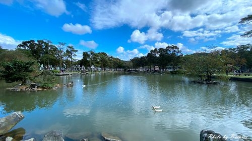 0103 大湖落羽松11.jpg