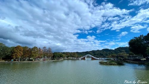 0103 大湖落羽松08.jpg