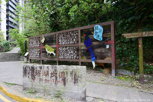 0406 碧湖步道01