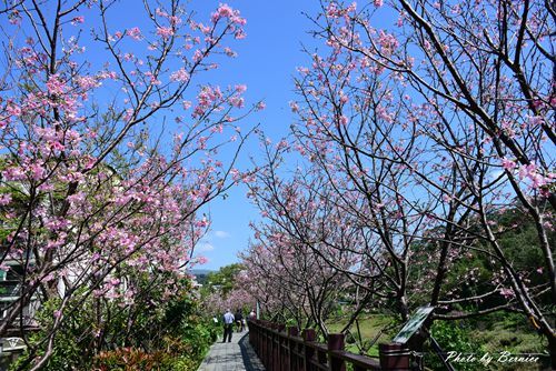 0315 樂康步道05.jpg