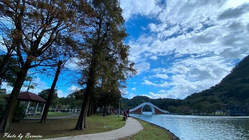 0103 大湖落羽松10.jpg