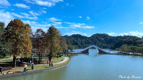 0103 大湖落羽松09.jpg