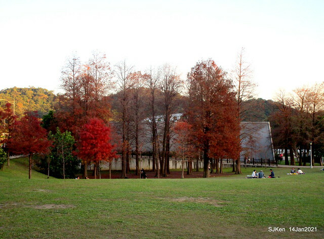「大湖公園」(Big lake park), Taipei, Taiwan, Jan 24, 2021, SJKen.