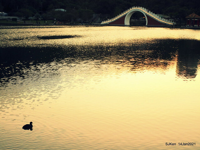 「大湖公園」(Big lake park), Taipei, Taiwan, Jan 24, 2021, SJKen.