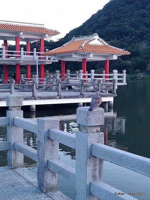 「大湖公園」(Big lake park), Taipei, Taiwan, Jan 24, 2021, SJKen.