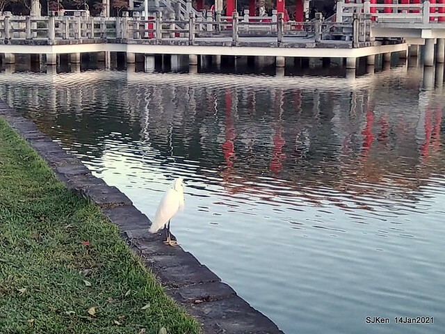 「大湖公園」(Big lake park), Taipei, Taiwan, Jan 24, 2021, SJKen.
