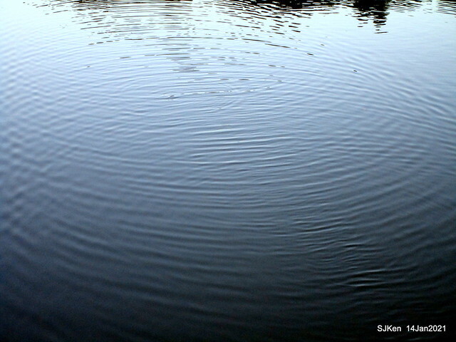 「大湖公園」(Big lake park), Taipei, Taiwan, Jan 24, 2021, SJKen.