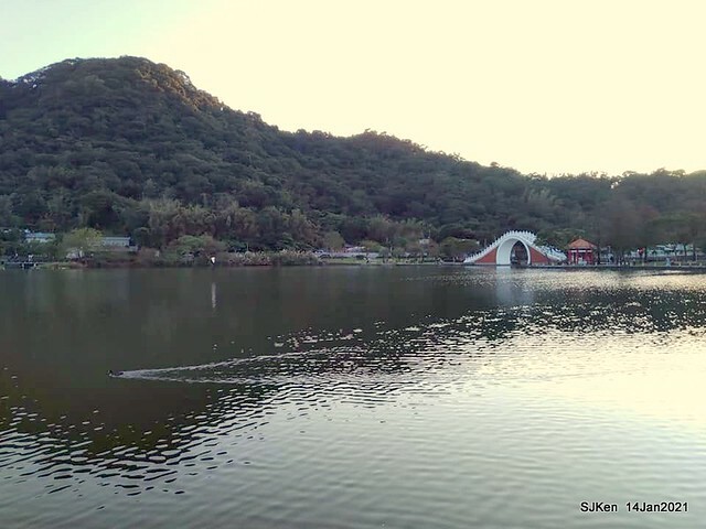 「大湖公園」(Big lake park), Taipei, Taiwan, Jan 24, 2021, SJKen.