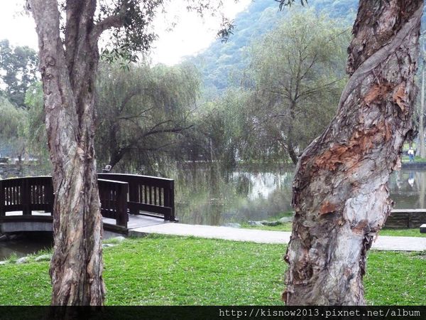 大湖公園：尋找心中想要的圖畫--湖光山色大湖公園