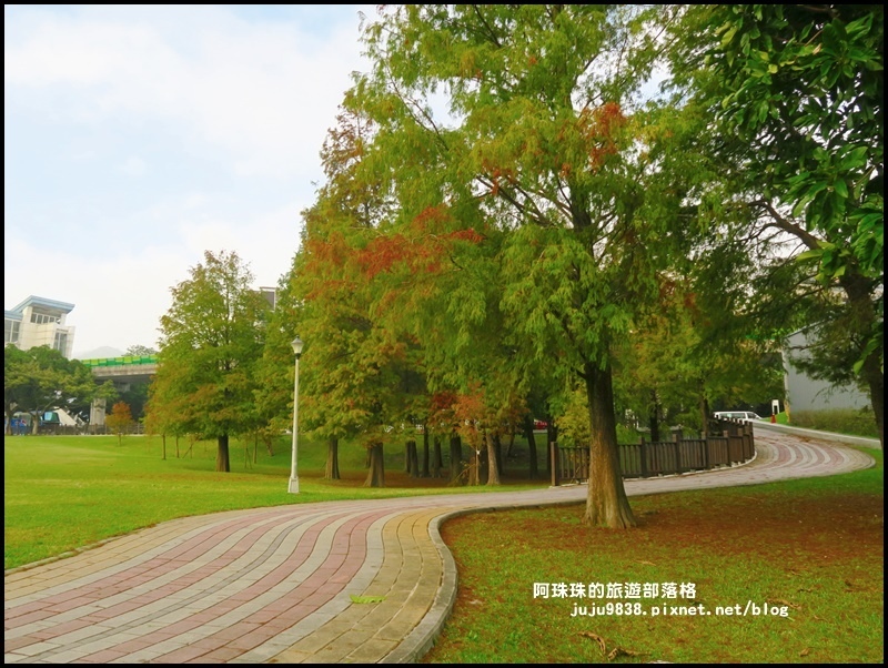 大湖公園16.JPG