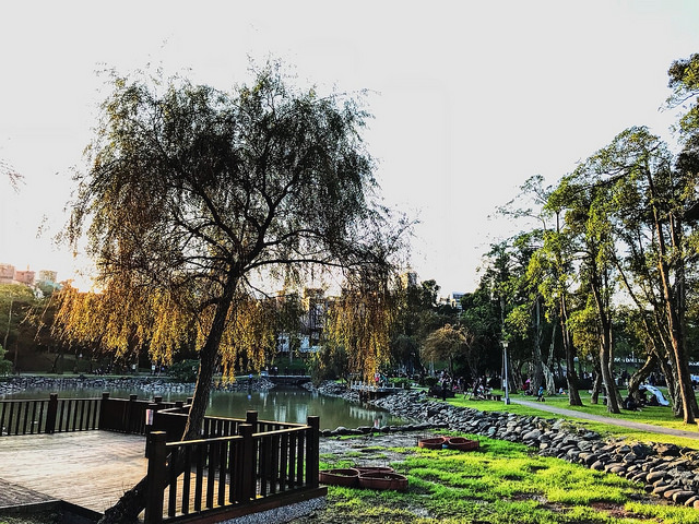 大湖公園_8
