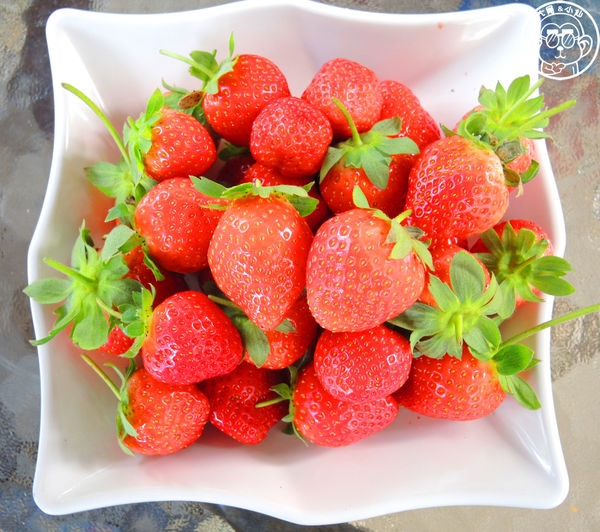 莓圃觀光休閒農園:作伙來企投【台北內湖・莓圃休閒觀光農園】庭園咖啡吃草莓料理 莓圃觀光休閒農園:作伙來企投【台北內湖・莓圃休閒觀光農園】庭園咖啡吃草莓料理