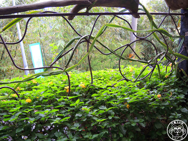 莓圃觀光休閒農園:作伙來企投【台北內湖・莓圃休閒觀光農園】庭園咖啡吃草莓料理 莓圃觀光休閒農園:作伙來企投【台北內湖・莓圃休閒觀光農園】庭園咖啡吃草莓料理