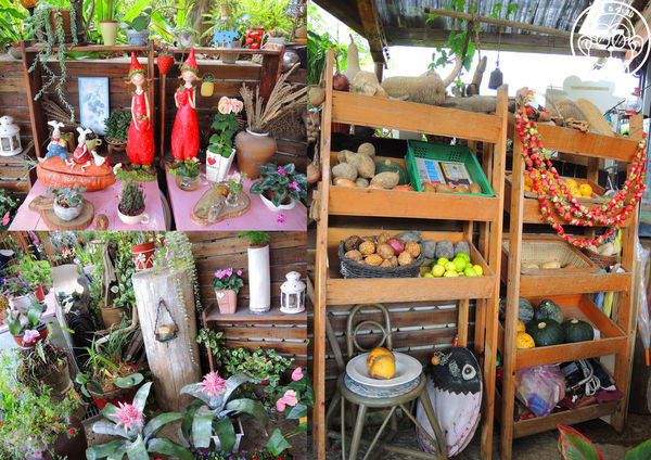 莓圃觀光休閒農園:作伙來企投【台北內湖・莓圃休閒觀光農園】庭園咖啡吃草莓料理 莓圃觀光休閒農園:作伙來企投【台北內湖・莓圃休閒觀光農園】庭園咖啡吃草莓料理