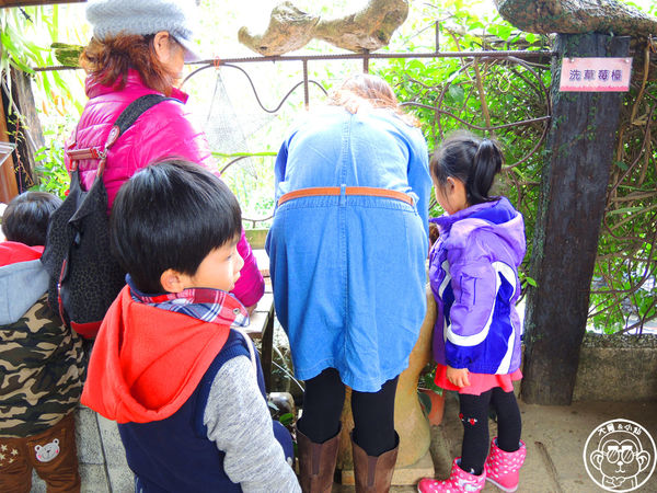 莓圃觀光休閒農園:作伙來企投【台北內湖・莓圃休閒觀光農園】庭園咖啡吃草莓料理 莓圃觀光休閒農園:作伙來企投【台北內湖・莓圃休閒觀光農園】庭園咖啡吃草莓料理