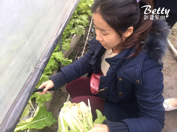 2017013清香休閒農場 (22).jpg