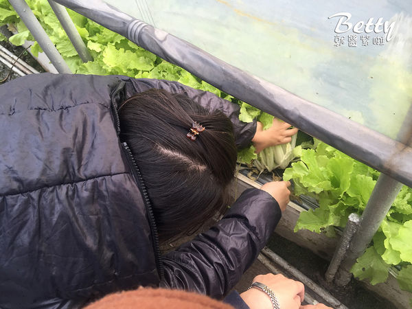 2017013清香休閒農場 (25).jpg