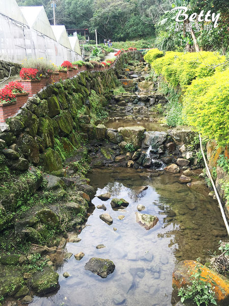 2017013清香休閒農場 (31).jpg