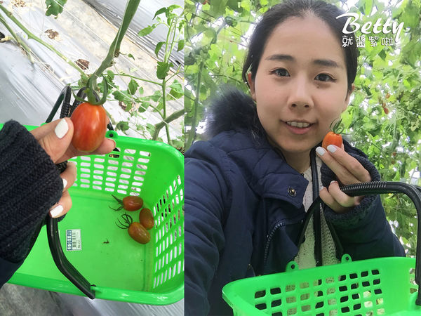 2017013清香休閒農場 (9).jpg