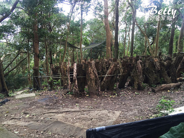 2017013清香休閒農場 (4).jpg