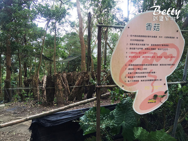 2017013清香休閒農場 (3).jpg