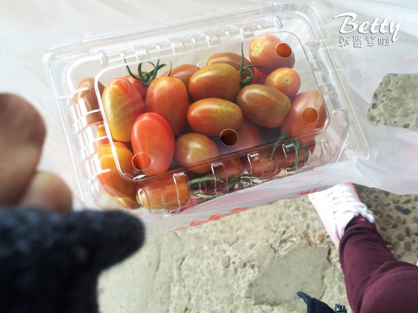 2017013清香休閒農場 (11).jpg