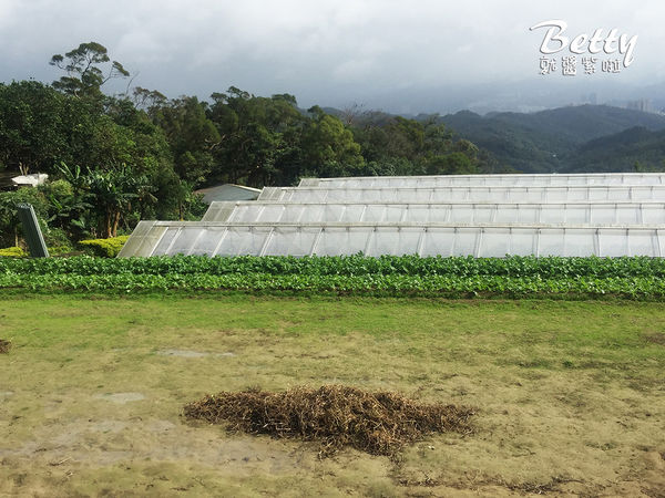 2017013清香休閒農場 (13).jpg