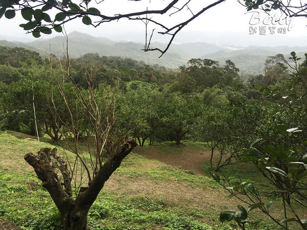 2017013清香休閒農場 (6).jpg