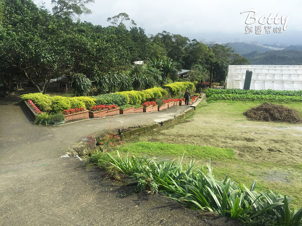 2017013清香休閒農場 (15).jpg