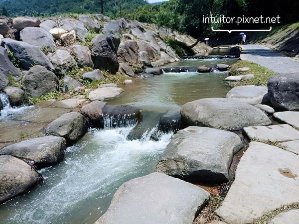 大溝溪生態園區3.jpg 大溝溪生態園區3.jpg