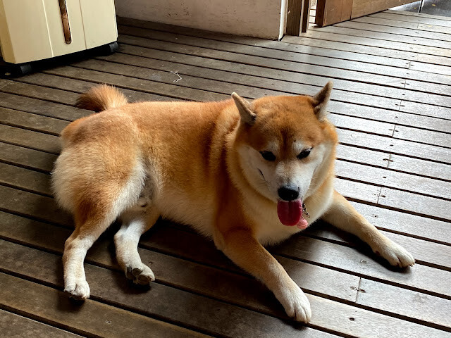 台南烏山頭湖境會館+烏山頭環湖遊