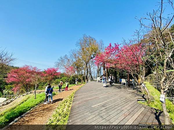 貓空+涓豆腐_210203_44.jpg