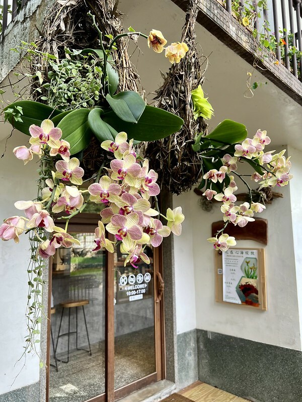 【台灣，桃園市，楊梅區】好窩有花，一間很有氛圍的小店。（楊梅咖啡館/楊梅故事園區）