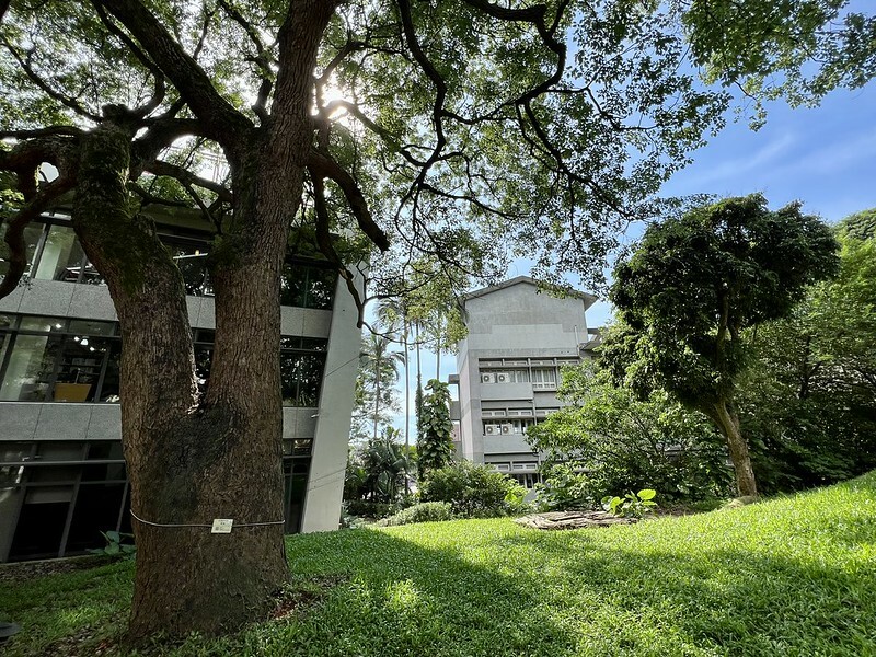 【台灣，桃園市，楊梅區】好窩有花，一間很有氛圍的小店。（楊梅咖啡館/楊梅故事園區）