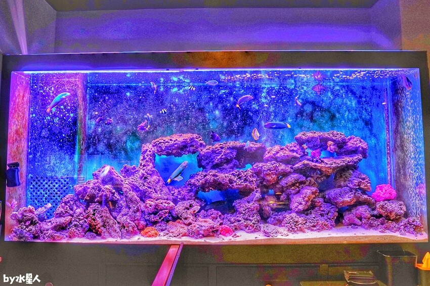 山上走走日式無菜單燒肉